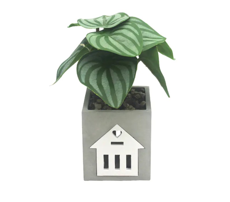 Er LED -cementlampen kompatibel med smarte hjemmesystemer til stemmekontrol og automatisering?